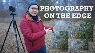 Finding compositions within compositions: Woodland Photography