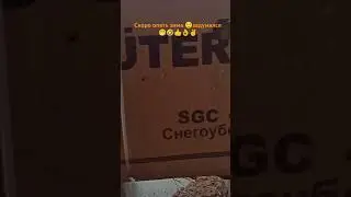 26 июня 2024 г.