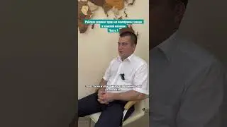 8 ноября 2023 г.