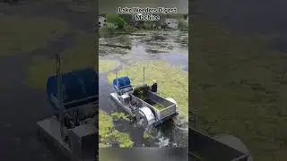 Revolutionizing Aquatic Vegetation Management: The Eco Weed Harvester #trending #viral #machine