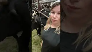 Это часть моей жизни 