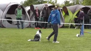 Melina und Faye Agility Hockenheim 15.05.2016