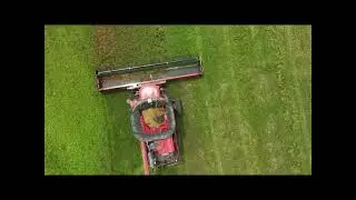 Cargill and University of Minnesota Partner on Winter Camelina and Pennycress Research