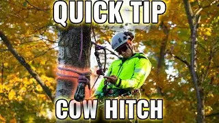 Quick Tip: Tying a Cow Hitch WHILE Aloft!