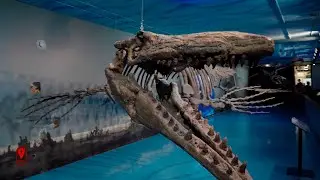 From Hidden Gems to Thrilling Discoveries: Explore Morden and the Canadian Fossil Discovery Centre