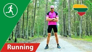 Baltic Forest Trail / Andrius Vaškevičius