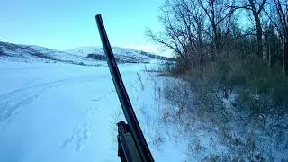 Охота на зайца. Как нам охотнички на зайца указали...