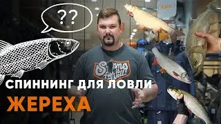 What spinning rod should I use to catch asp?