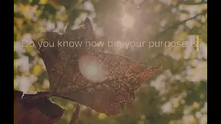 Spiritual Quote // Daily Quote // Shot on iPhone 13 Pro