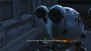 Nukes in the back