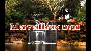 Merveilleux nom
