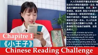 Learn to read Chinese - 小王子 Le petit prince - the little prince in Chinese chapitre 2