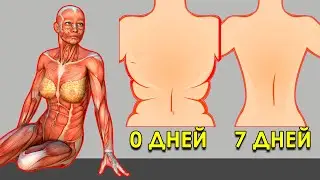5 минутные Упражнения для Избавления от Жира на Животе (Как похудеть за 7 дней)