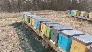 Такая разная зимовка пчёл. Какую показать вам?