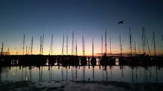 DJI Mini 3 Pro Hastings July 2023