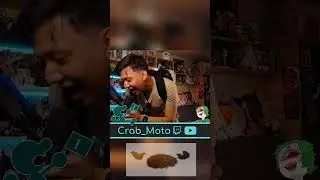 ОНИ ТЕБЕ ПЛАТЯТ?! // Crab Moto #shorts #csm