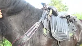 Нагрудник (подперьсье для лошади) .