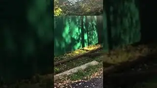 Ищем. Чупакабру