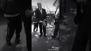 Шик шики мадам шик (талант)