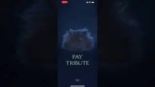 Screen recording footage of Speedtest by Ookla triggering easter egg 20.05.2023