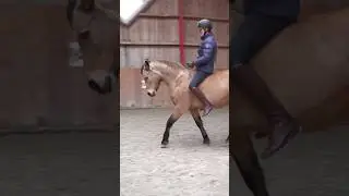 Тренировка без седла | #shorts