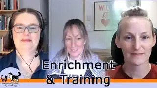 What you need to know about herding dogs with Emily Priestley