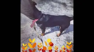 Джонни ❤️