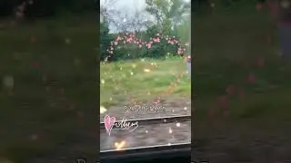 Тгк Весёлая семейка