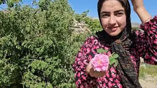.Did Maryam understand the truth about her house being haunted?