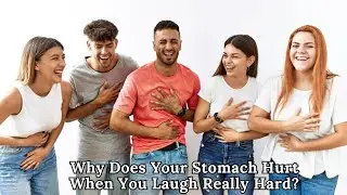 Belly Laughs: Why Does Your Stomach Hurt When You Laugh Really Hard?