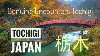 Tochigi Prefecture, Japan: A Journey Through Culture, Nature, and History