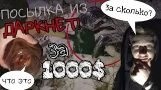 ПОСЫЛКА с ДАРКНЕТ | КОГО УБИЛИ?
