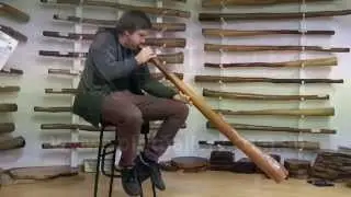 Sydney Yidaki Player- Karl "yidaki"