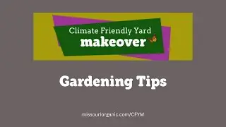 Preparing A New Garden Bed