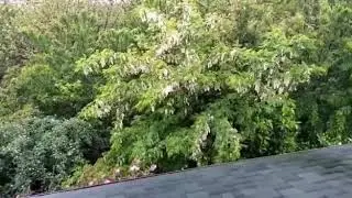 А у нас дождь!🤗
