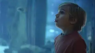 Канал 208 - Телеканал 