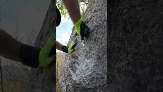 Bolting climbing routes Romania and more real rock music on the xylophone