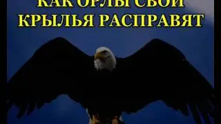Те,кого избрал Господь