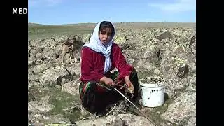 Medamed21 Jiyana Demsalîya gund li Qerejdaxê