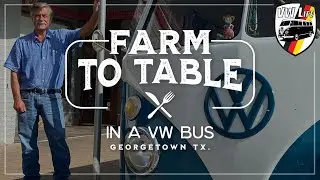 farm to table
