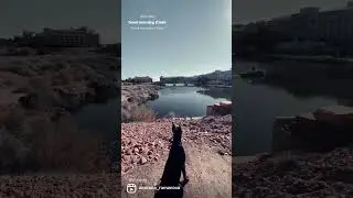 #lasvegas #lakelasvegas #love #doberman
