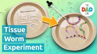 Cool Tissue Wiggly Worm Science Experiment