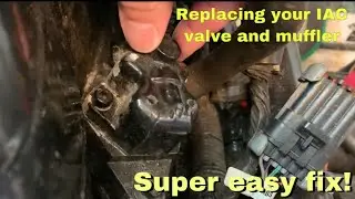Quick tip - How to replace IAC muffler and IAC valve on a 8.1(496) Mercruiser Horizon marine engine.