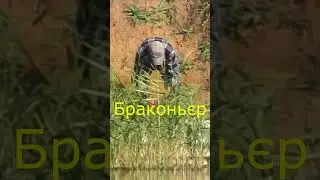 Браконьєр