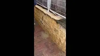איך מנקים אבן ירושלמית בקלות? - 053-352-5201 - נקי בלחץ