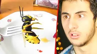 ÖĞLE YEMEĞİNDE ARI YİYEN MANYAK AMERİKALI