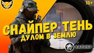 Тень Калибр обзор снайпера 🦊 Брать или не брать?!