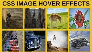Css Image Hover Effects: How To Create Image Hover Overlay Effects