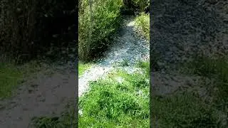 JAWA заехала с первого раза