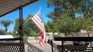 Trump vs Kamala Harris 8/6/24